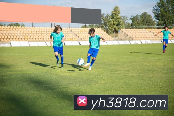 澳门银河娱乐网站平台生态图